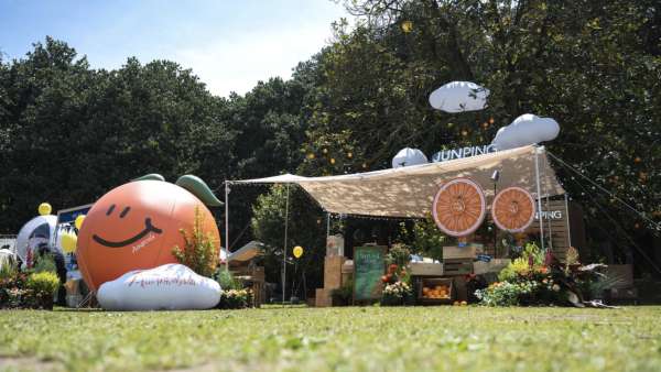 JUNPING Plant b城市森林計(jì)劃市集活動(dòng)策劃太適合出游探訪了